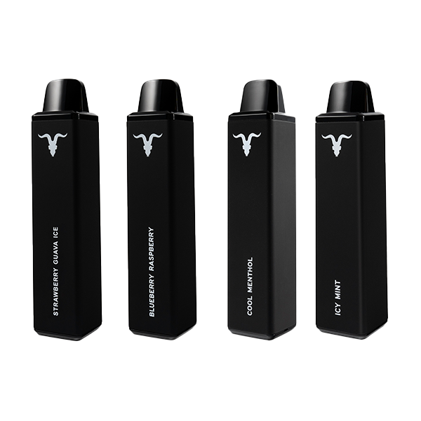 IGNITE 20mg Disposable Vape 600 Puffs