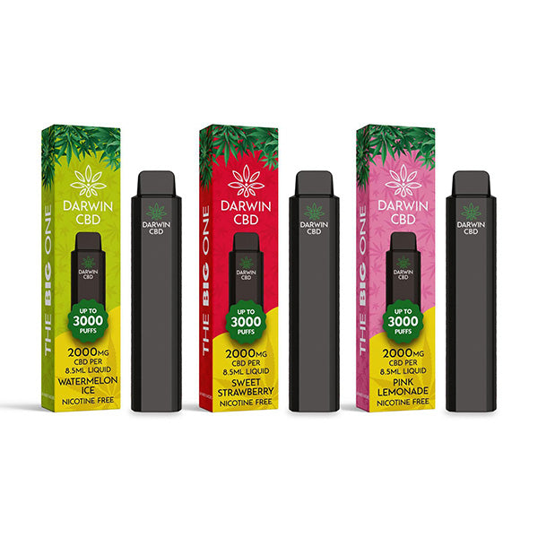 Darwin Big One 2000mg CBD Disposable Vape 3000 Puffs