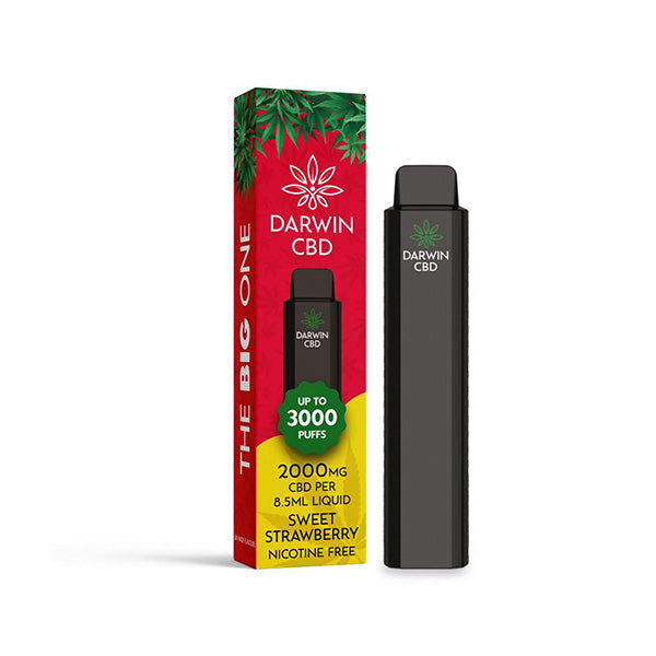 Darwin The Big One 2000mg CBD Disposable Vape 3000 Puffs - vape store