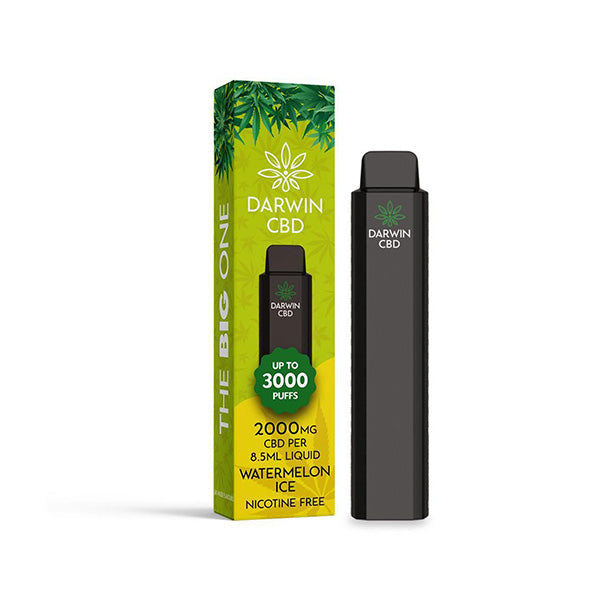 Darwin The Big One 2000mg CBD Disposable Vape 3000 Puffs - vape store